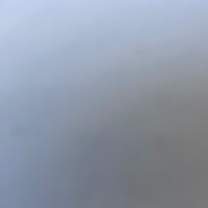 Meet your Posher, Willie